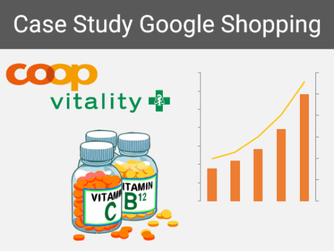 Case Study SEA Google Shopping