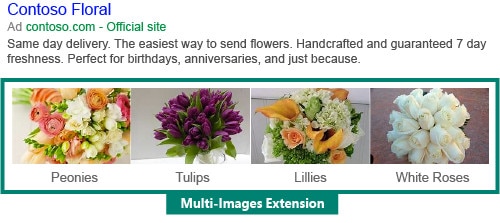 Bing Multi Image Extensions